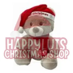 Christmas Teddy Bear with Santa Hat